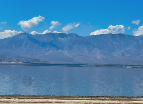 40 Acres Of White Gold For Sale