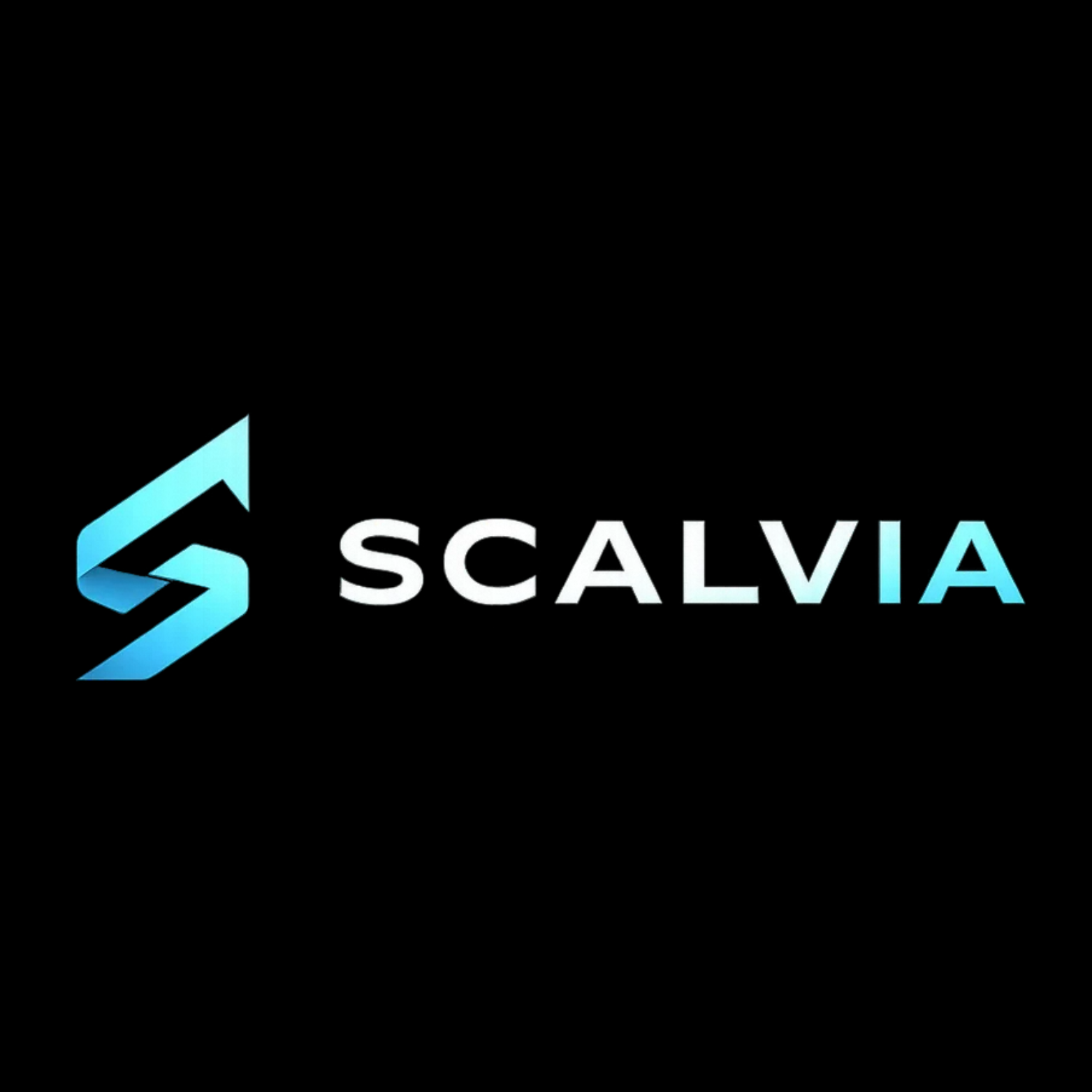 Scalvia Best Digital Marketing Agency Perth