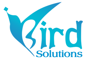 iBird Solutions