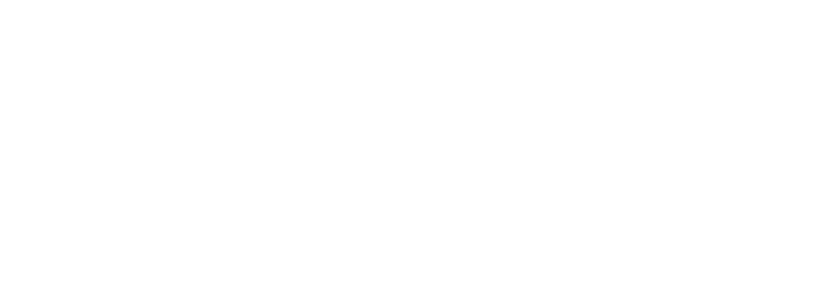 Alma Consulting Group