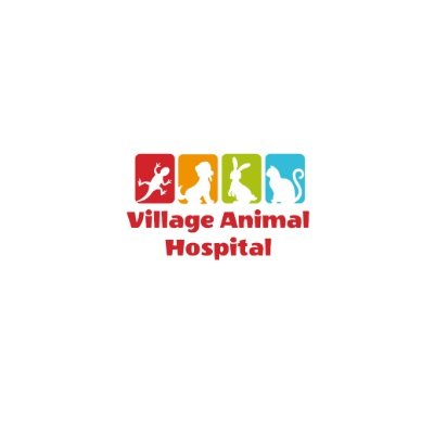 Village Animal Hospital