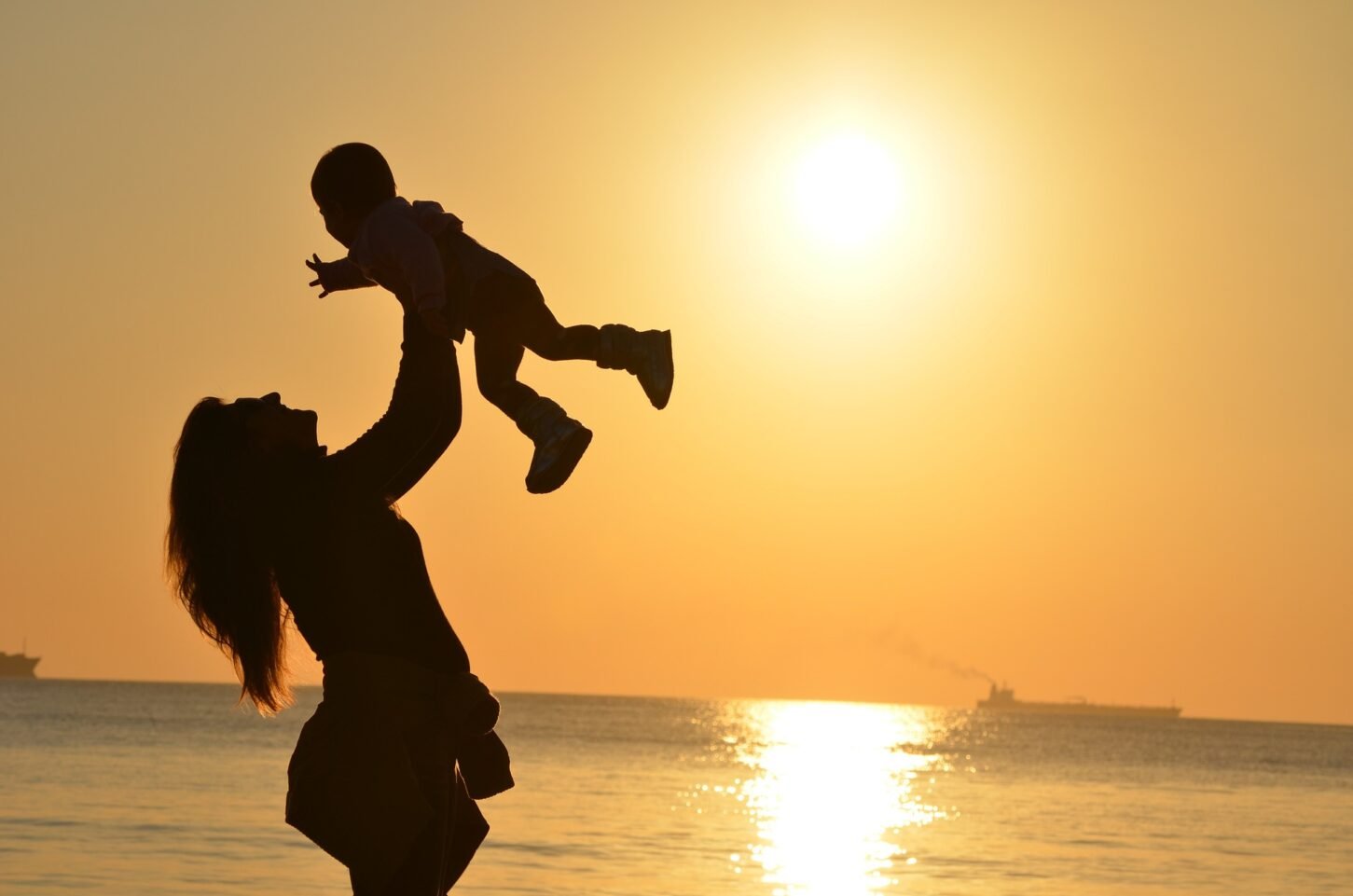 Compare whole life insurance