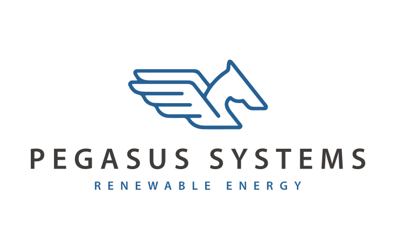 Pegasus Systems