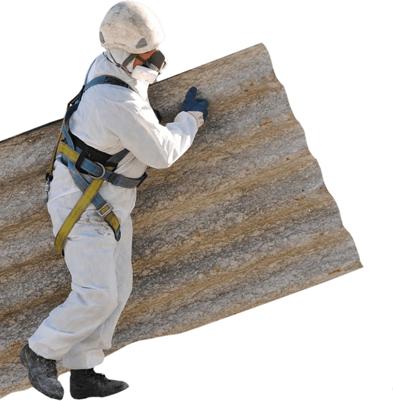 Express Asbestos Solutions